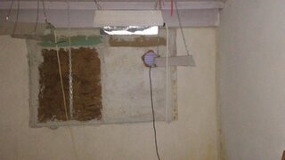Мини оранжерия в апартамент разкриха криминалисти