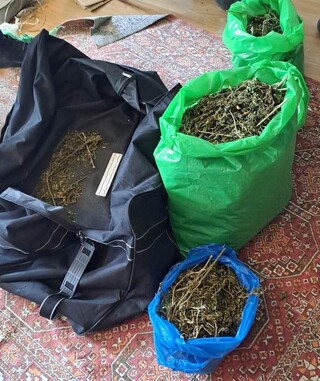 Престъпна група, занимавала се с доставка и разпространение на наркотици в цялата страна, е неутрализирана от  криминалисти от ОДМВР – Пловдив
