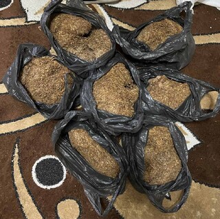 Специализирана полицейска операция на територията на общините Карлово и Сопот