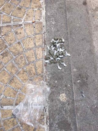 Трима души са задържани в хода на специализирана полицейска операция на територията на квартал Столипиново 