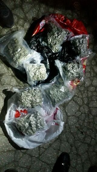 Значително количество марихуана иззеха криминалисти от ОДМВР Пловдив