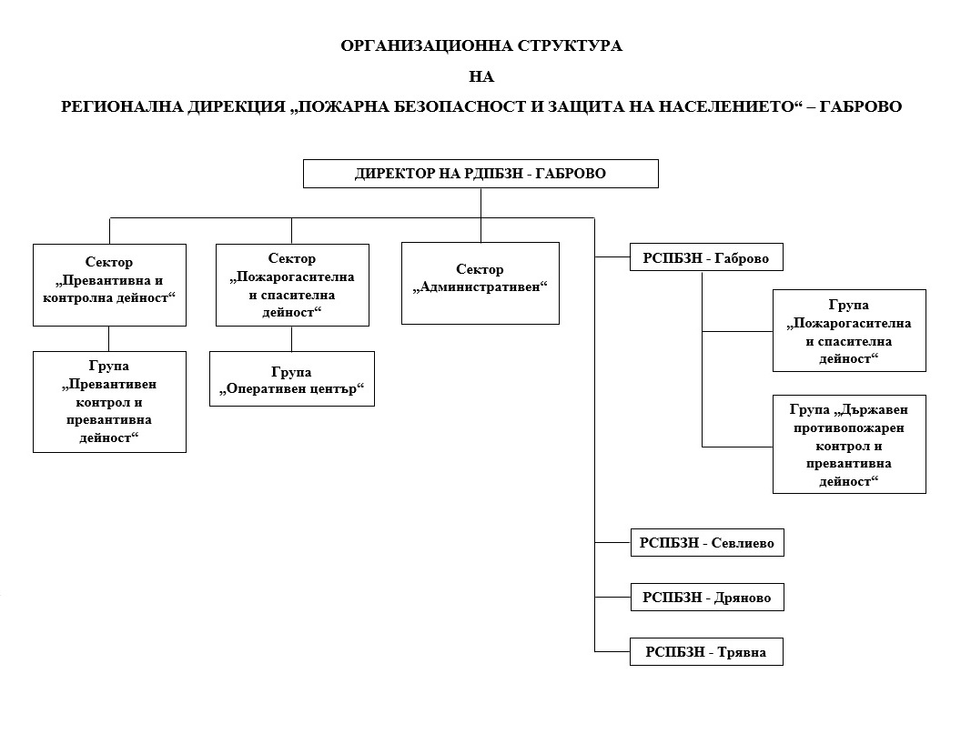 Организационна структура Организационна структура