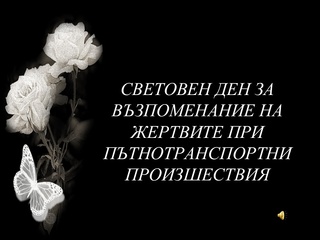 На 15 ноември отбелязваме Световния ден в памет на жертвите при ПТП