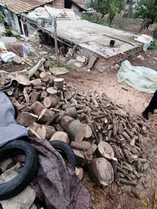 Четири проверки за незаконно добити дърва са образувани при спецоперация в Лозница