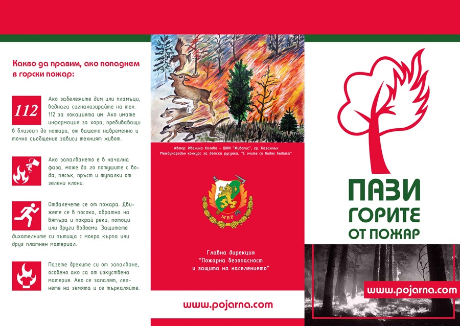 forest-fires-brochure (1)
