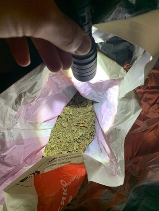 Отглеждани растения канабис, различни наркотици и пособия за производство и разпространение на дрога разкриха русенски полицаи при поредната спецоперация за противодействие на престъпленията, свързани с наркотици