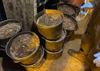 Оранжерия за отглеждане на марихуана, продукти и пособия за производство на наркотици, различни видове дрога, оръжия и боеприпаси разкри русенската полиция при поредните две успешни акции по противодействие на наркопроизводството и разпространението