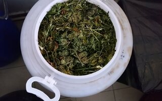 ЗНАЧИТЕЛНО КОЛИЧЕСТВО НАРКОТИЦИ ОТКРИ И ИЗЗЕ ПОЛИЦИЯТА ПРИ СПЕЦОПЕРАЦИЯ В БЕЛЕНСКО  ​