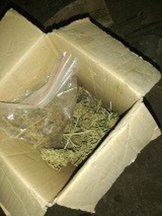 Служители на столичното Шесто РУ разкриха две наркооранжерии