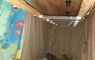 Столични криминалисти разкриха оборудвана оранжерия за отглеждане на канабис