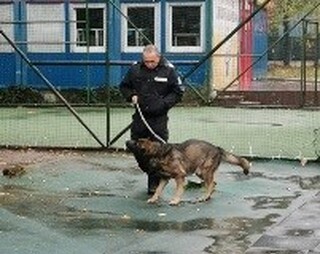 В деня на своя професионален празник столични полицаи гостуваха на ученици