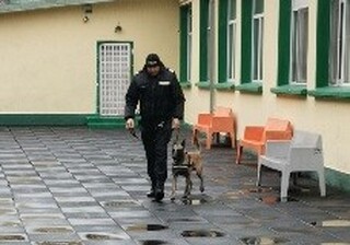 В деня на своя професионален празник столични полицаи гостуваха на ученици