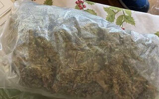 Столични полицаи задържаха 41-годишен за притежание на наркотици
