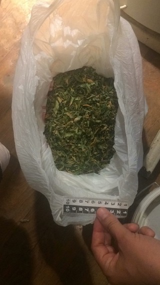 Столични полицаи разкриха модерно оборудвана оранжерия за отглеждане на марихуана