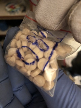 Столични полицаи разкриха модерно оборудвана оранжерия за отглеждане на марихуана
