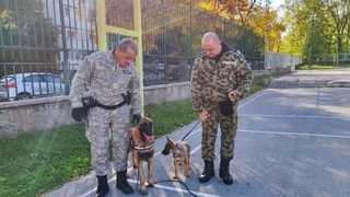 Четириногият полицай Роки е новото попълнение на полицията в Шумен