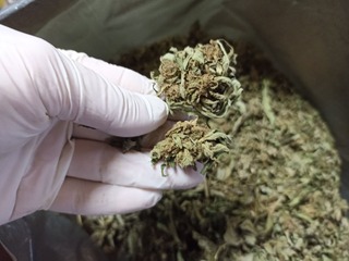 Криминалисти от областната дирекция в Шумен иззеха над 6 кг канабис по време на операция за противодействие на разпространение на наркотични вещества