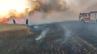 Бъдете внимателни, пожарната обстановка в област Силистра е усложнена