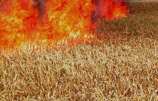 Пожарникари от Сливен и Ямбол спасиха 200 декара с жито