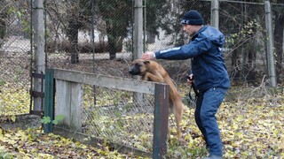 Приключи учебната година  по проекта Детско полицейско управление в Нова Загора
