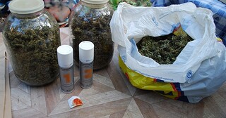 33 килограма канабис са иззети при мащабна операция на полицията в Сливен