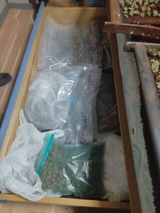 Две наркооранжерии разкриха криминалистите от районните управления в Костинброд и Пирдоп