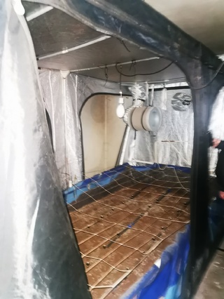 Значително количество наркотици е иззето при спецакция на пирдопските криминалисти