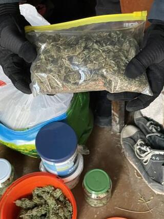Голямо количество марихуана е иззето при акция в Свогенско