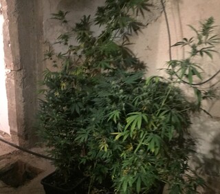 Трима задържани при операция по противодействие на наркоразпространението  