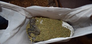 Полицейски служители от Старозагорското Второ РУ иззеха над 470 грама марихуана