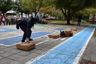 Служители на ОДМВР – В. Търново гостуваха на децата от ДГ „Иванка Ботева“
