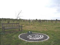8a570980-roadpeace2smalljpg