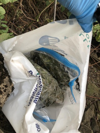 Голямо количество канабис е иззето при спецоперация на служители на ГДБОП във Великотърновско