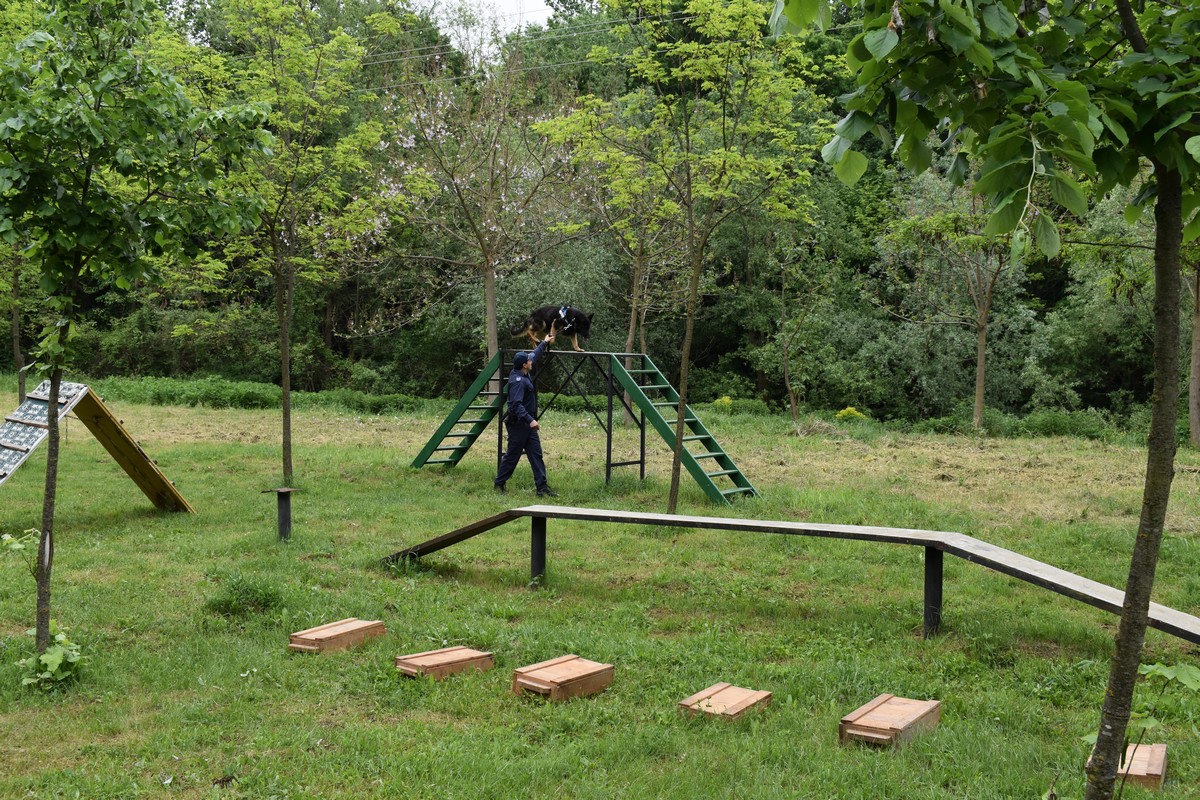 DSC_0014