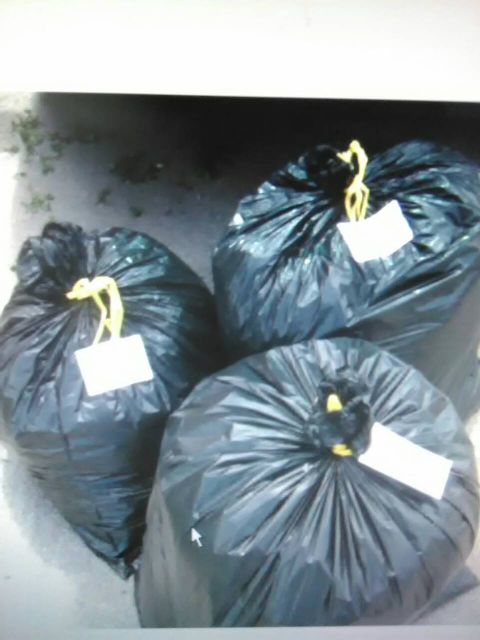 IMG-d21c95654673b4815829d8554c4c2d3b-V IMG-d21c95654673b4815829d8554c4c2d3b-V