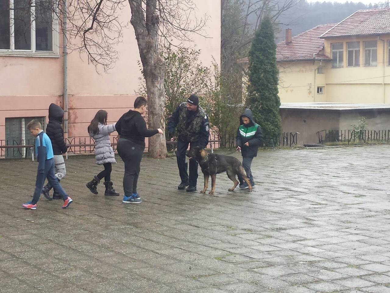 IMG 1