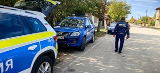 Близо 50 кубика немаркирани дърва, установиха полицейските екипи при проверки на шест адреса в с. Бело поле