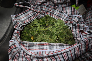 Поредна операция на полицията срещу наркопрестъпността в област Видин