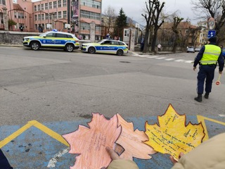 ОУ "Д-р Иван Селимински" подкрепи кампанията  „Послания на есенни листа”