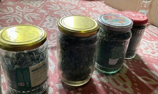 Старозагорски криминалисти иззеха 390 грама марихуана от адрес в с. Могила