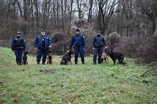 Дни преди Коледа ОДМВР – В. Търново се сдоби с двама млади и много симпатични четириноги полицаи