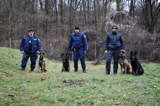 Дни преди Коледа ОДМВР – В. Търново се сдоби с двама млади и много симпатични четириноги полицаи