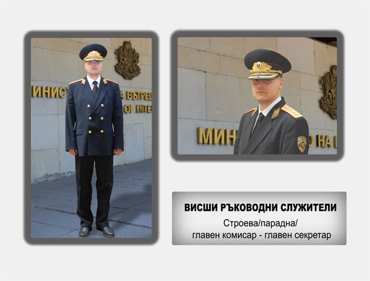 Висши ръководни служители