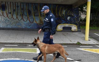 Четириногият полицай Арес гостува на малчуганите от детска градина „1 юни“