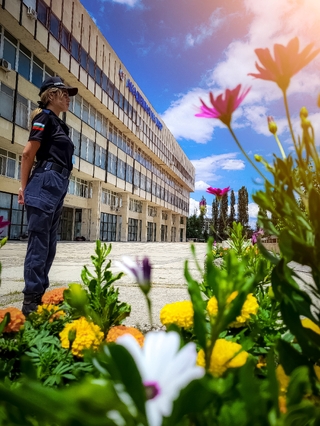 В палитрата на младостта
