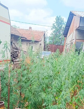 23 задържани за наркоразпространение и притежание на дрога при акция на СДВР