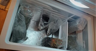 Голямо количество наркотични вещества са открити при акция на столичното Пето РУ