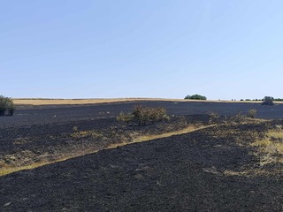 Няма пострадали хора по време на вчерашния пожар в село Развигорово