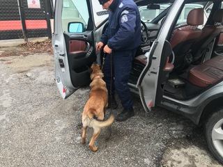 Специализирана полицейска акция се проведе на територията на община Разлог
