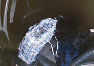 Голямо количество канабис е намерено и иззето от полицейски служители на РУ-Сандански